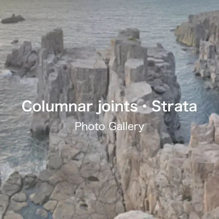 columnar_joints-strata