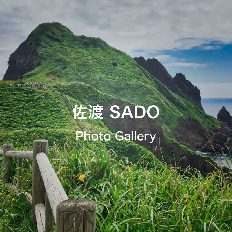 sado photo gallery
