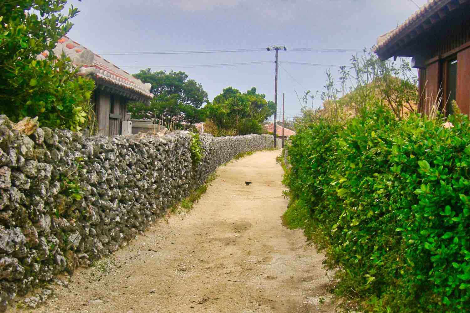 竹富島の石垣のある道路