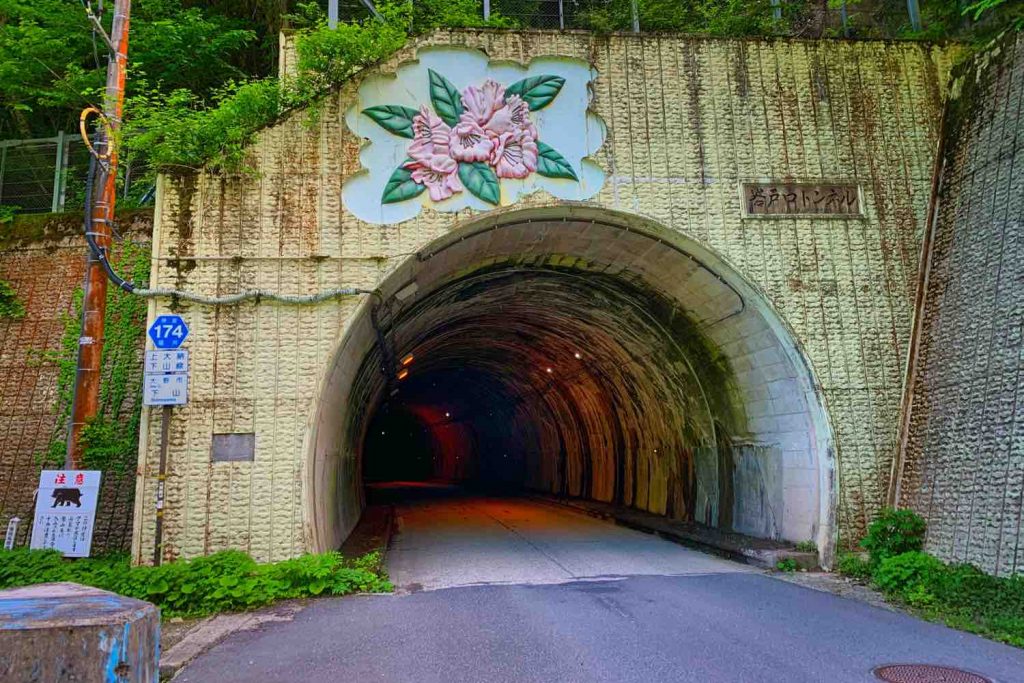 中竜鉱山（なかたつこうざん）跡へのトンネル