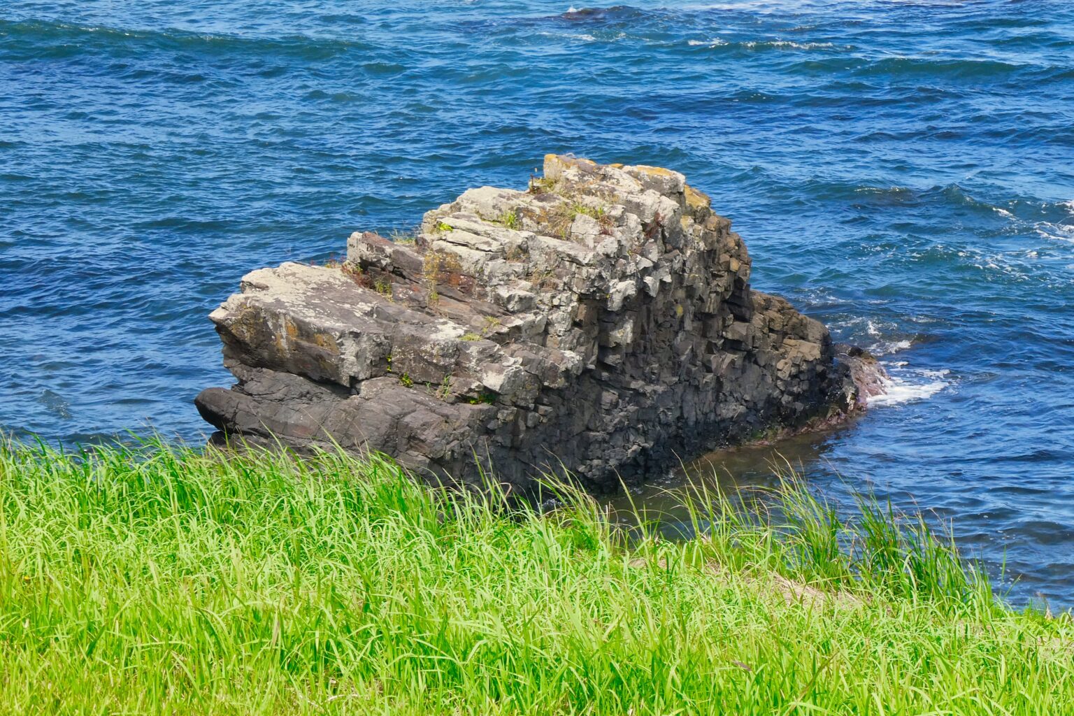 ニの浜の岩脈