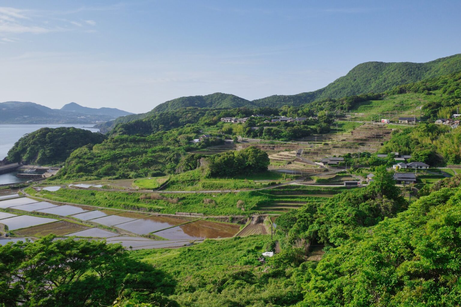 平戸島の棚田