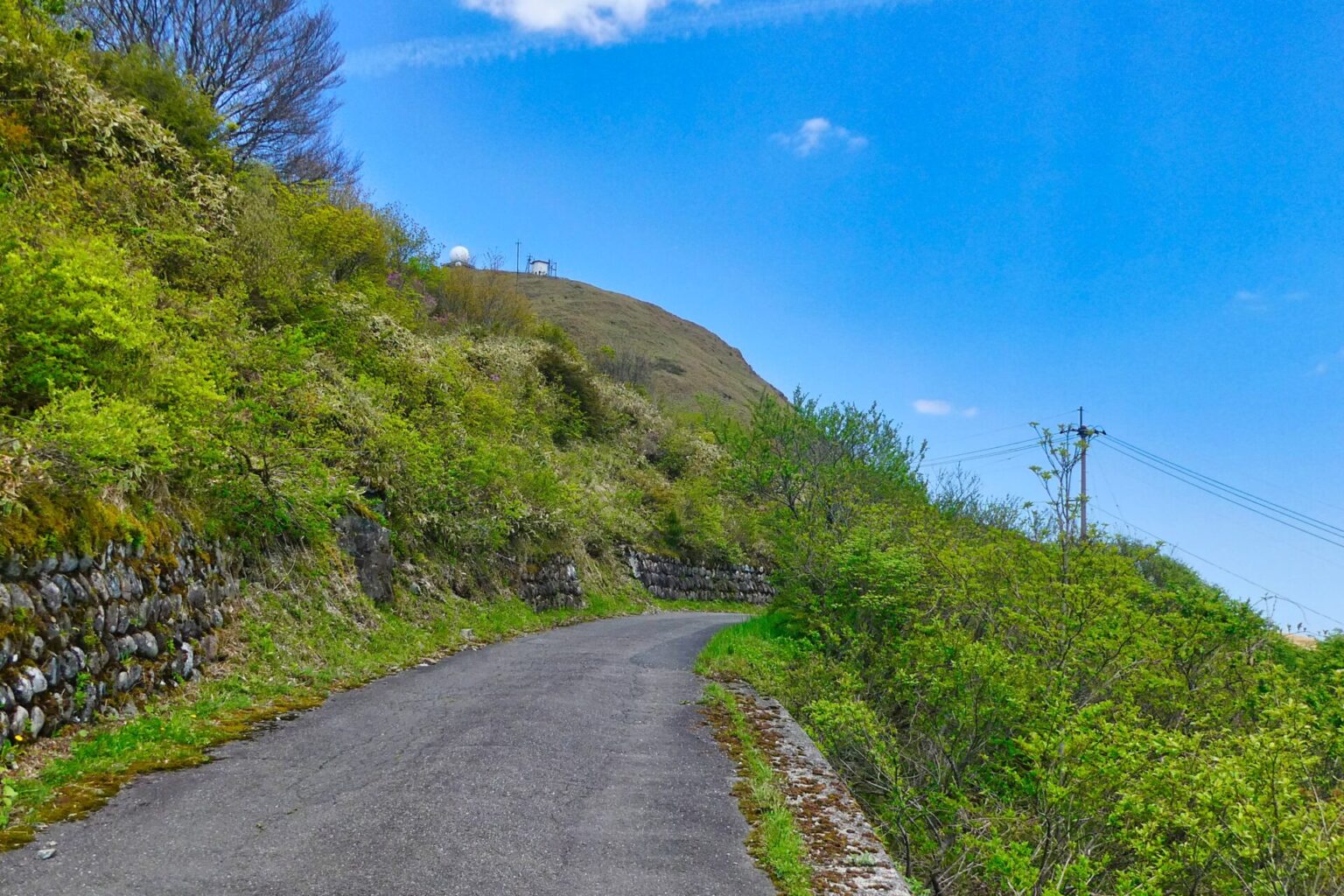 県道363号