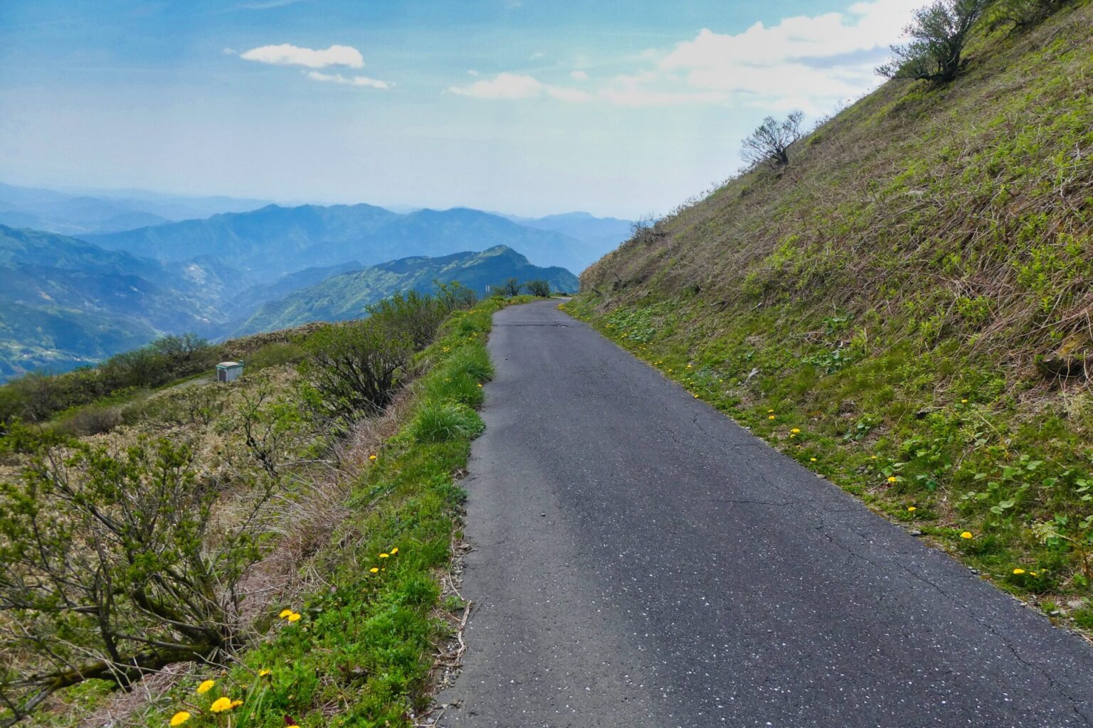 県道363号