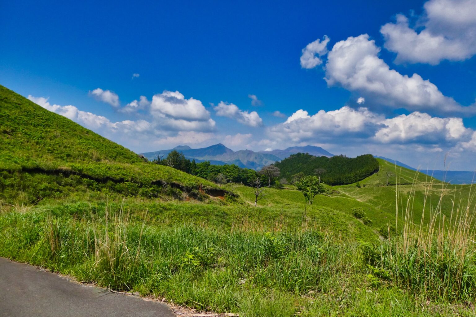 遠くに阿蘇山