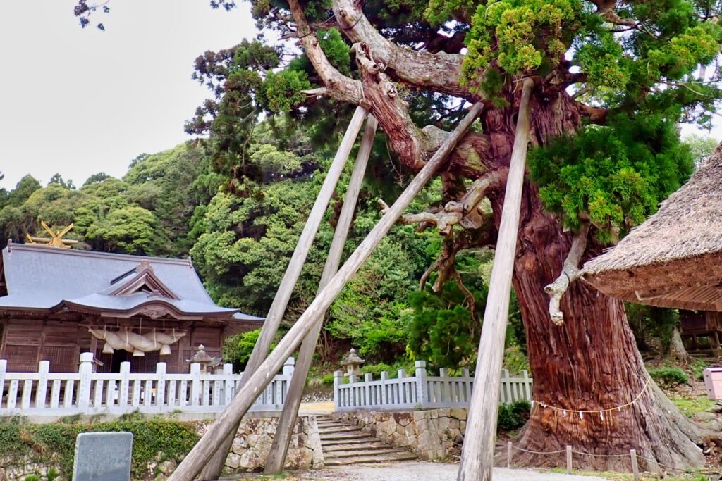 玉若酢命神社