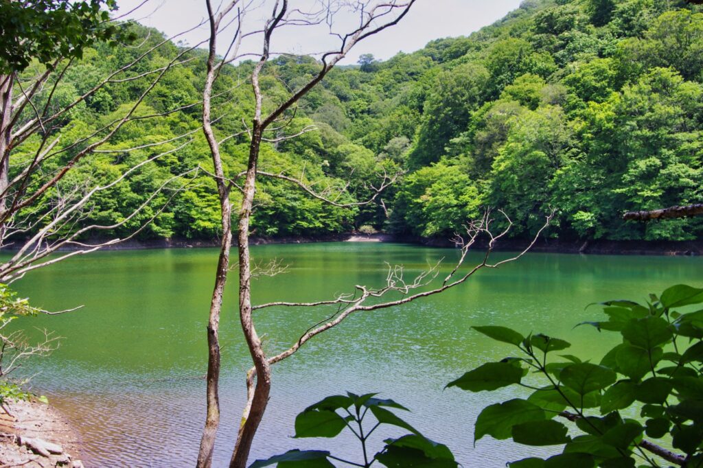 白神山地十二湖