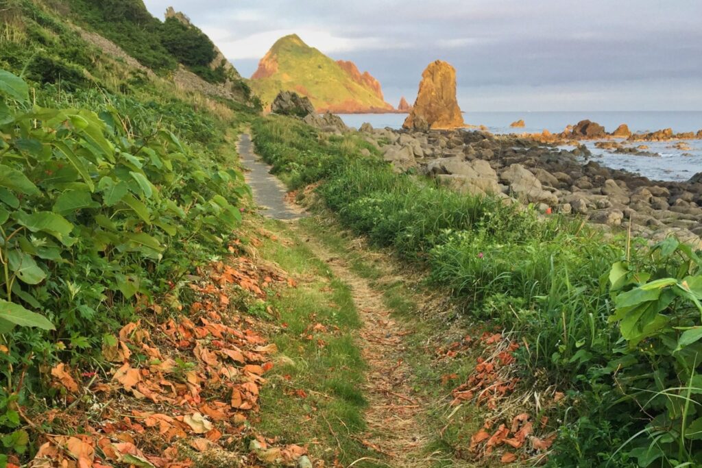 佐渡海府海岸の遊歩道