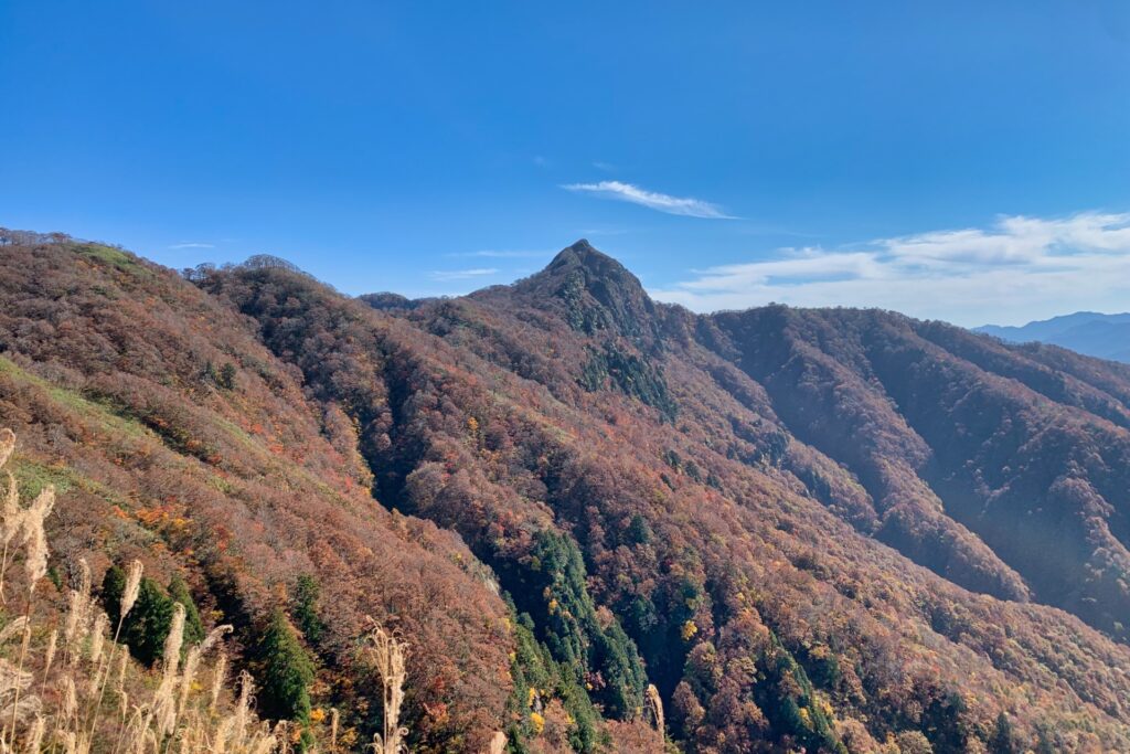 林道 冠山線 （滋賀県側）