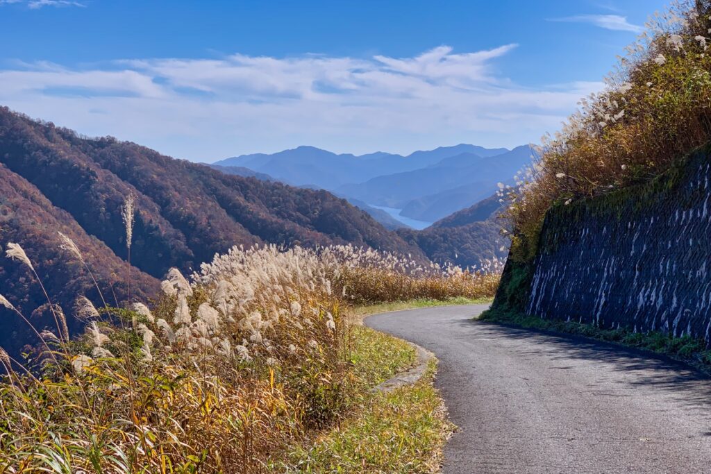 林道 冠山線 （滋賀県側）