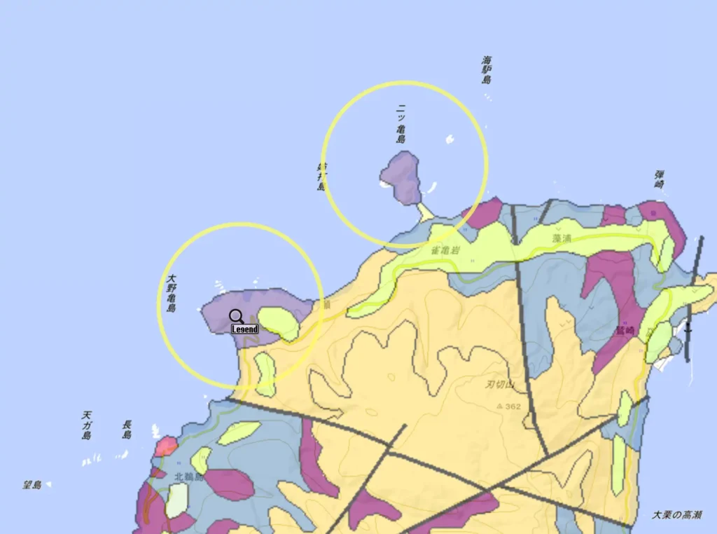 亀の地質図